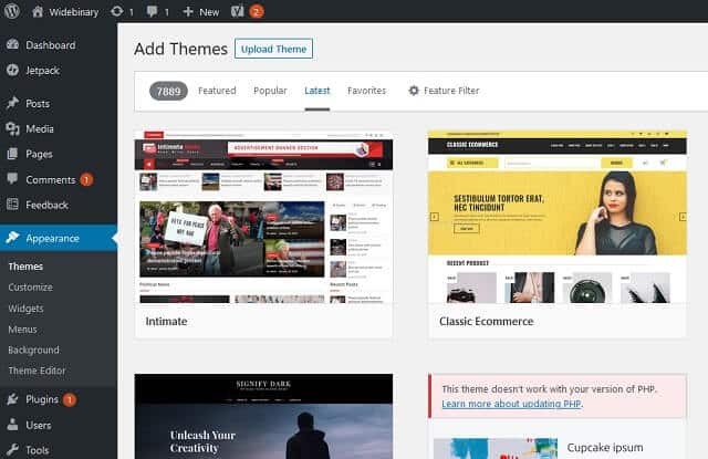 themes for WordPress website